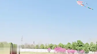 公园放风筝，妹妹户外露出白斩乳房，勾引哥哥小树林里，狂舔骚逼，后入爆操粉嫩骚穴激情内射