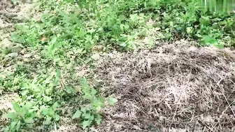 真实户外兄妹乱伦 带妹妹去山上挖野菜，结果妹妹上次玩野战上瘾了，看着没人妹妹迫不及待想让哥哥操她，结果哥哥说回去当着嫂子的面再操更刺激