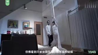 π1040 芭蕾标本
